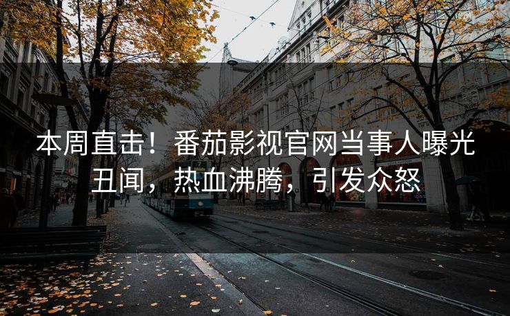 本周直击！番茄影视官网当事人曝光丑闻，热血沸腾，引发众怒