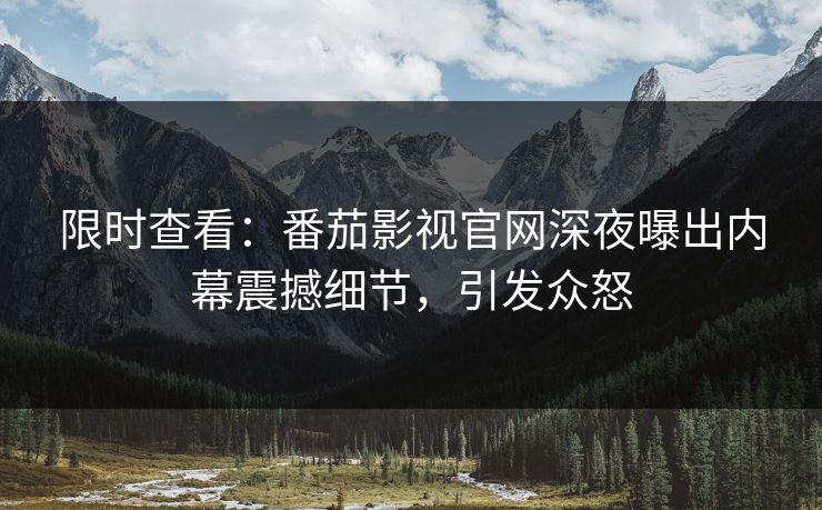 限时查看：番茄影视官网深夜曝出内幕震撼细节，引发众怒