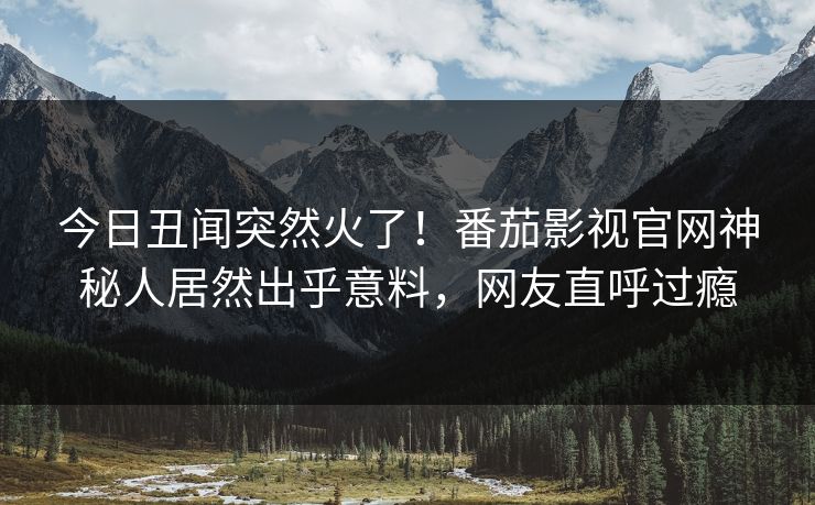 今日丑闻突然火了！番茄影视官网神秘人居然出乎意料，网友直呼过瘾